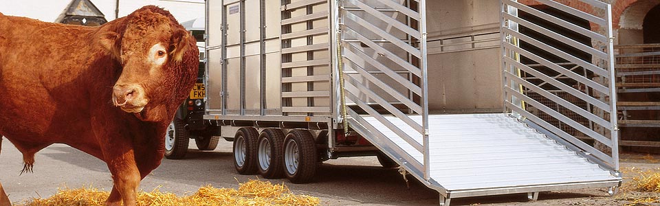 Large livestock trailers